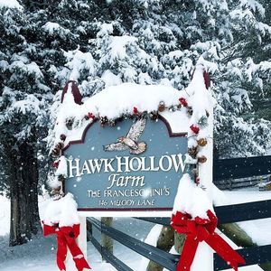 Meet your Posher, Jill